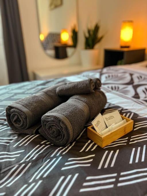 Apartment Le Spacieux Et Confortable A 15min De La Gare Valence (Drome)