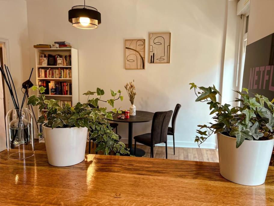 Appartement Le Spacieux Et Confortable A 15min De La Gare Valence (Drome)